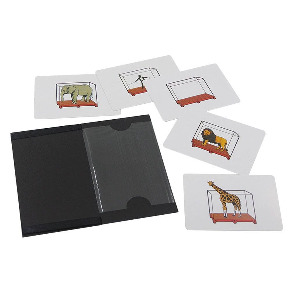 Conjunto de truques mágicos, cartões mágicos para animais, interativos para crianças