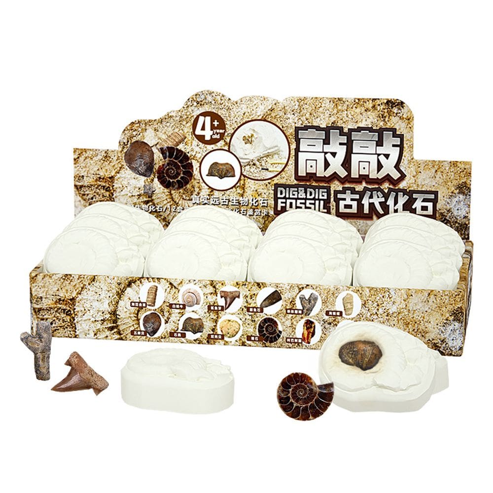 Kit de escavação de fósseis para escavação científica para crianças com 12 unidades de fósseis