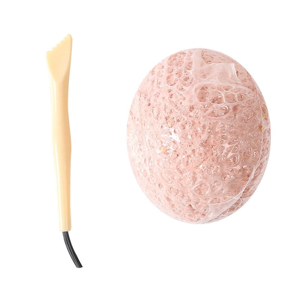 Kit de escavação científica de ovos de dinossauro para crianças