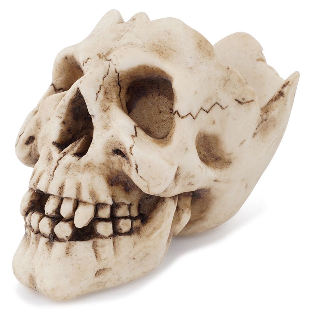 Cinzeiro: resina realista com design de caveira 9,5x6,5x7cm 250g