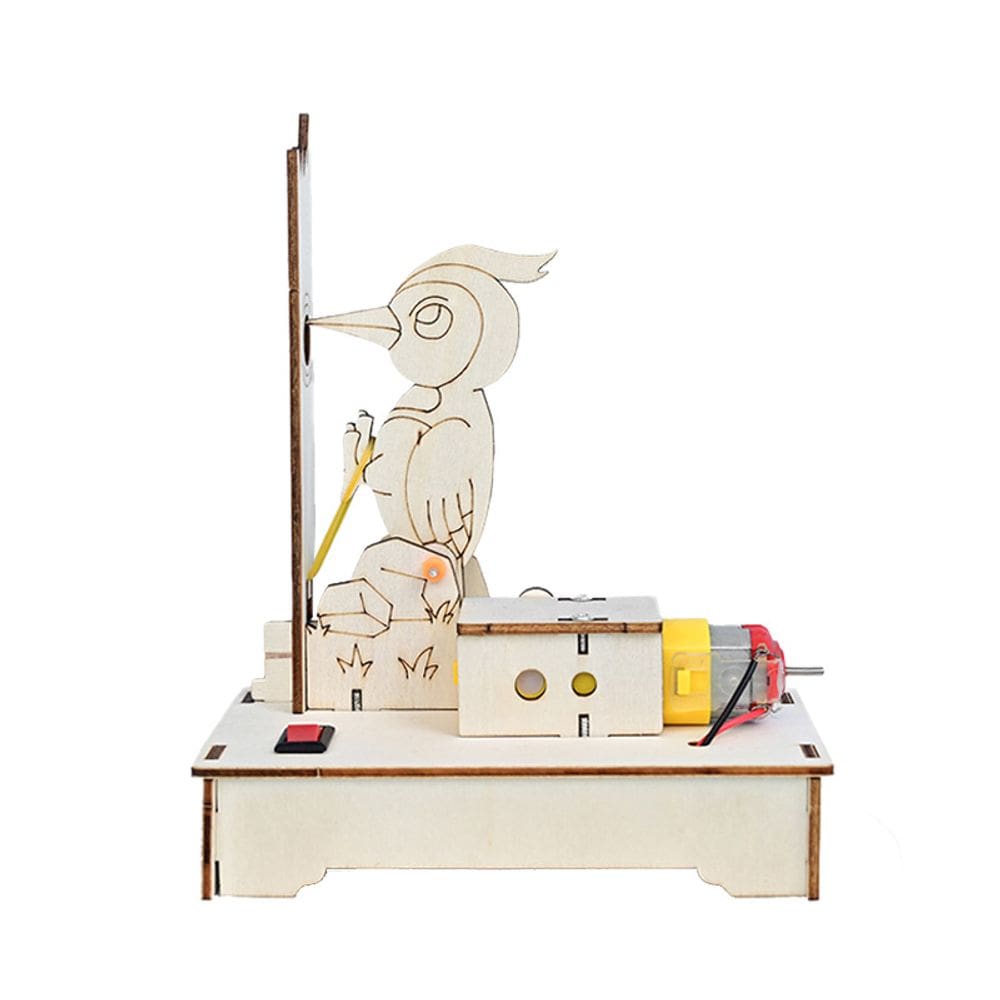 Kit de experimentos científicos, modelo de pica-pau elétrico de madeira