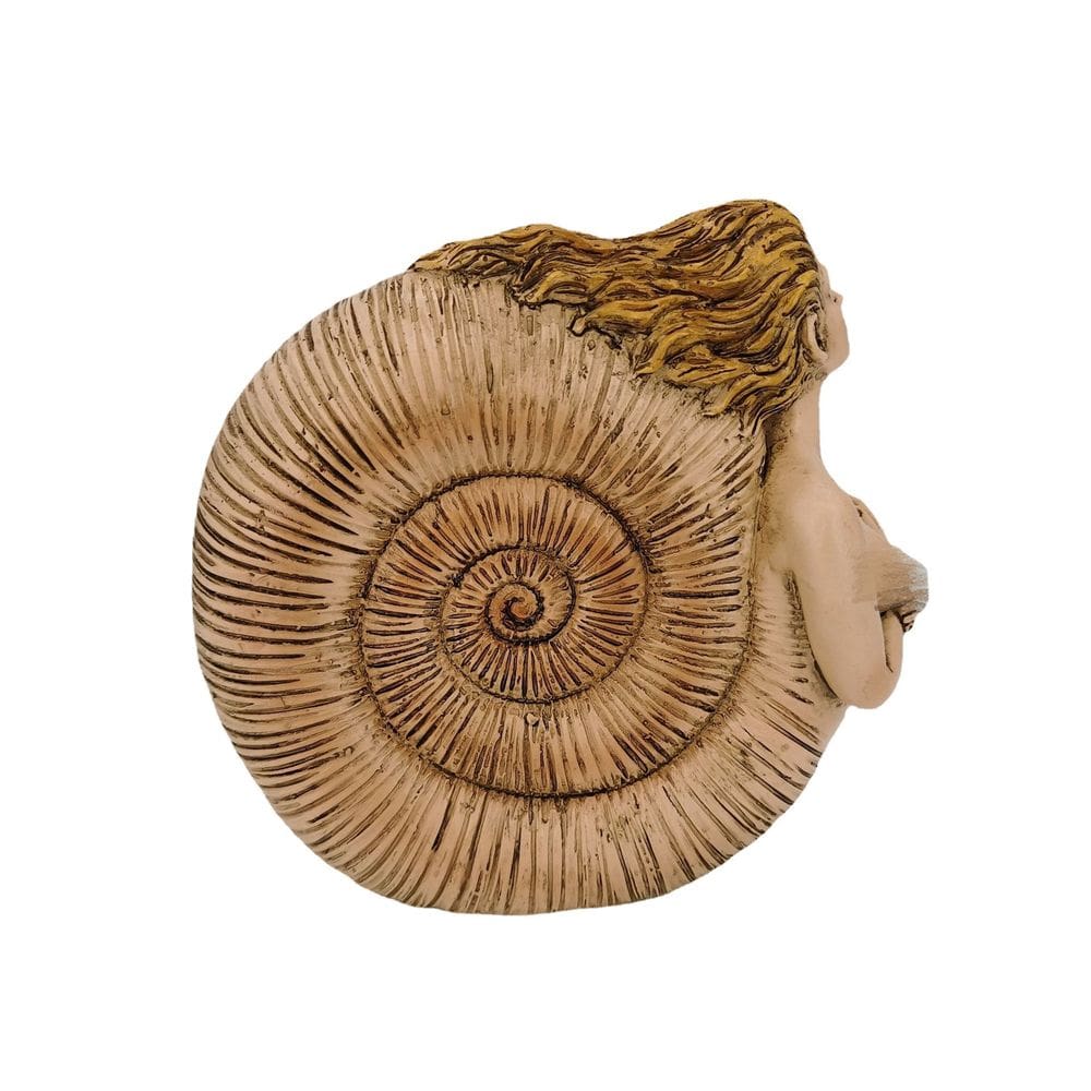 Escultura abstrata Woman Shell Resin Nautilus Ammonite Sta