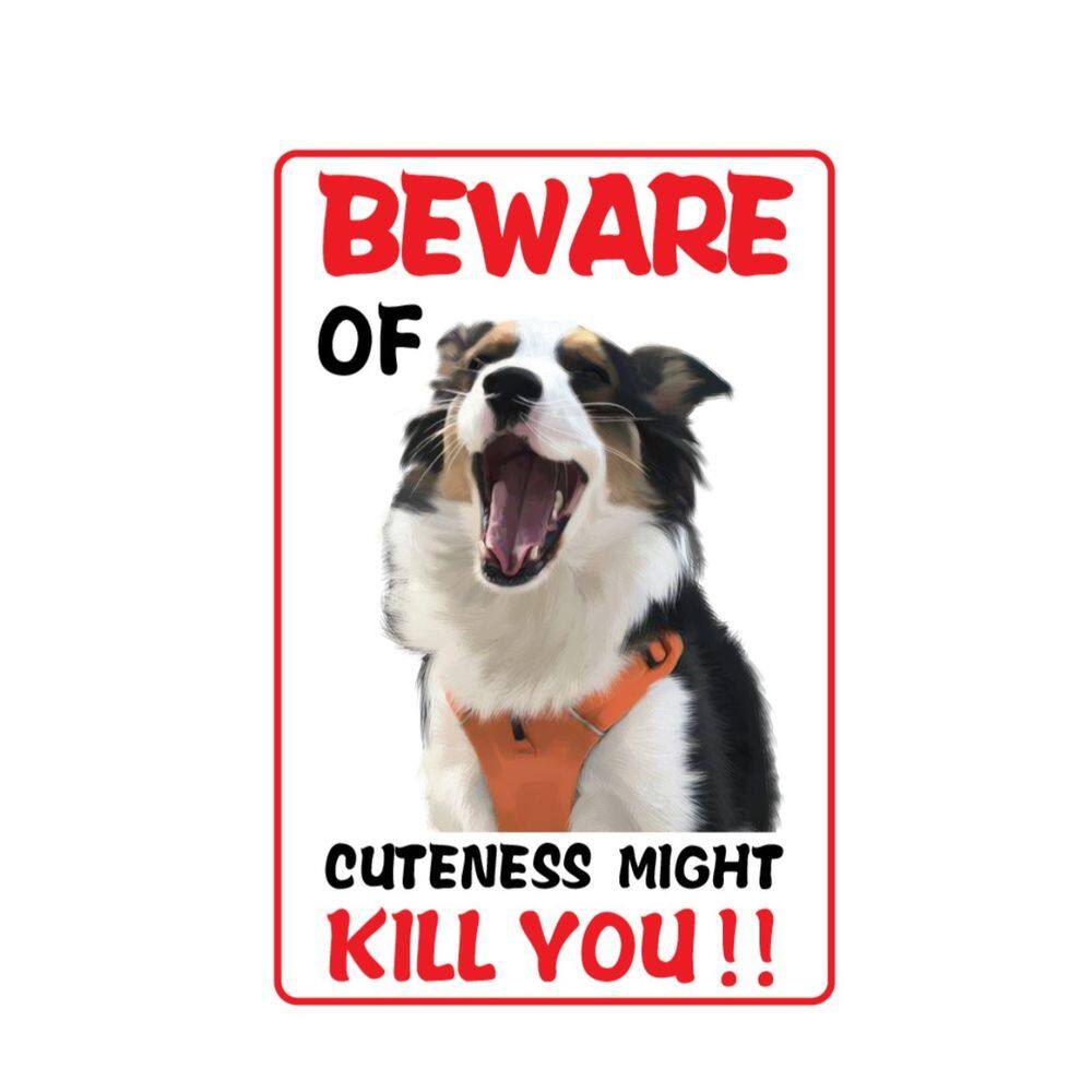 Sinal de alerta: cuidado, pois a fofura pode matar você! 10 unidades/lote