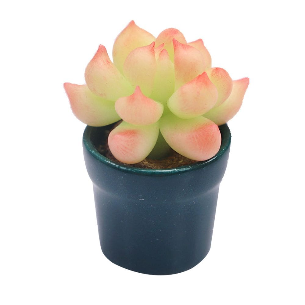 Planta suculenta em miniatura em vaso, escala 1:12 para casa de bonecas