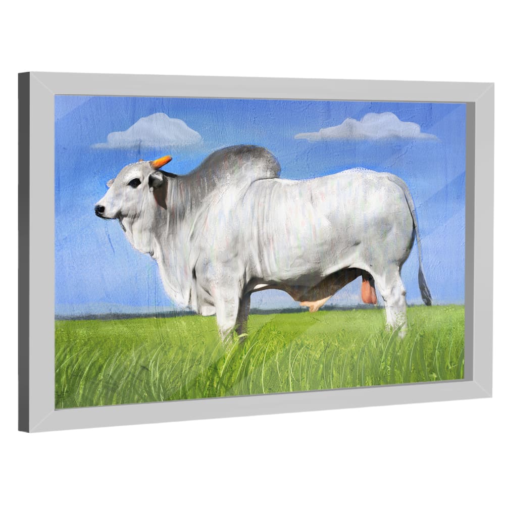 Quadro Decorativo Gado Nelore