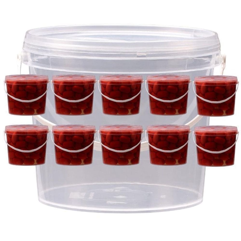 Balde Transparente Com Tampa Transparente 1-8L - Kit 5 Pçs