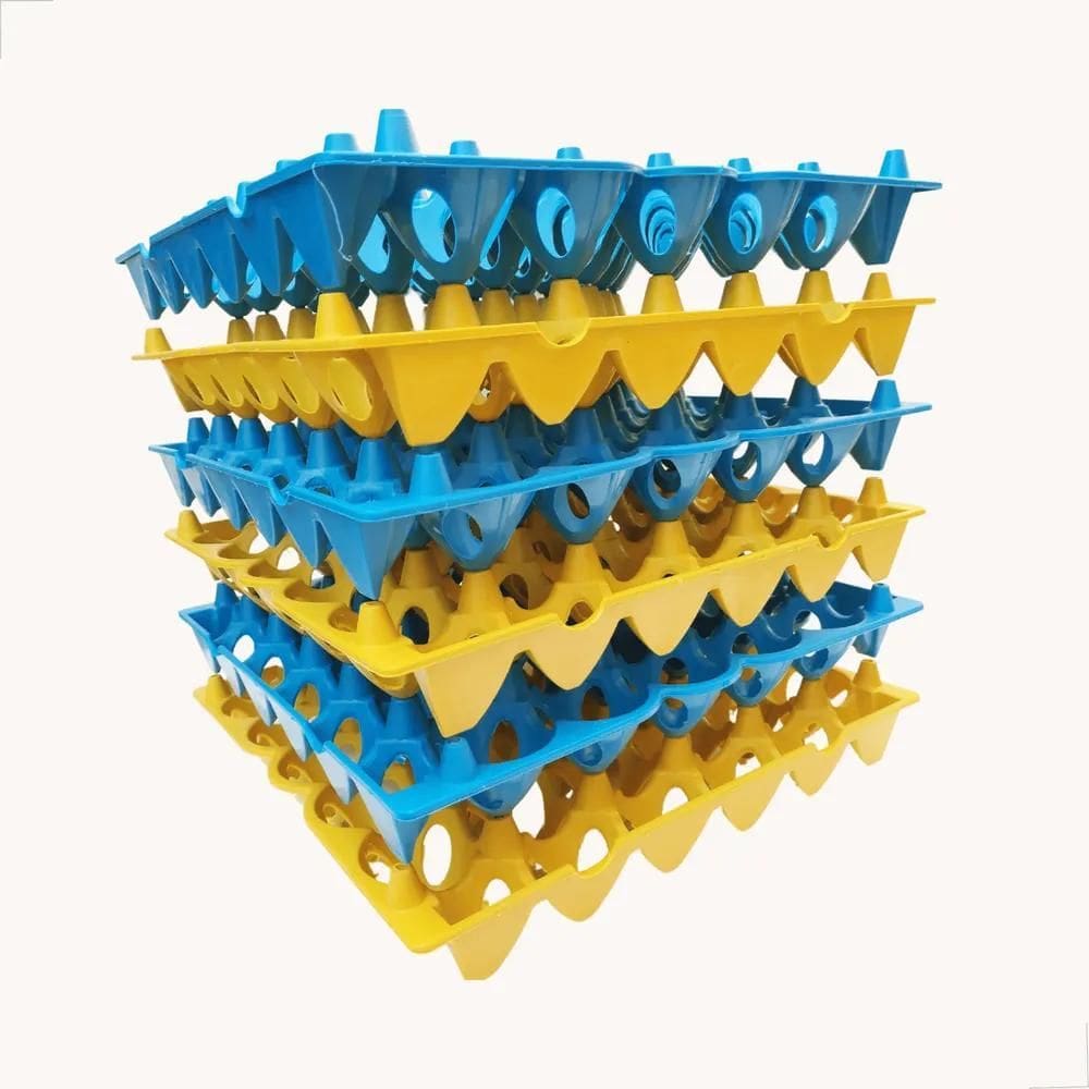 10X Porta Ovo Cartela Plástica Bandeja Higiênica 6 Unidades