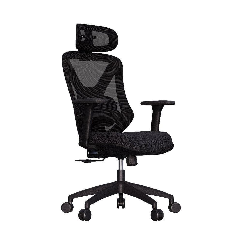 Cadeira de Escritório Ergonômica Premium com Apoio Lombar Ajustável Rodas Anti Riscos Rasala Preto