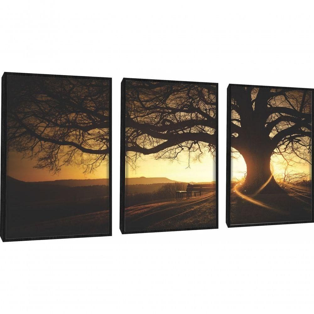 Quadros Decorativos árvore Por Sol Paisagem Com Moldura Preto