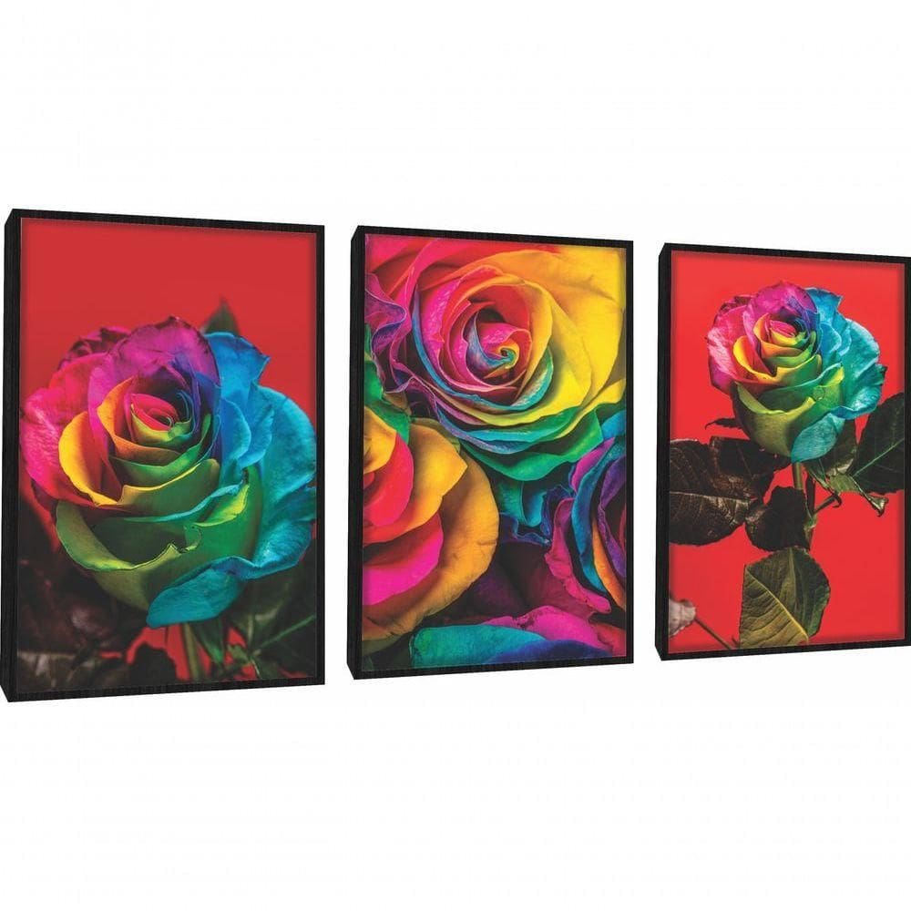 Quadro Decorativo Flor Colorido Fundo Vermelho Com Moldura Preto