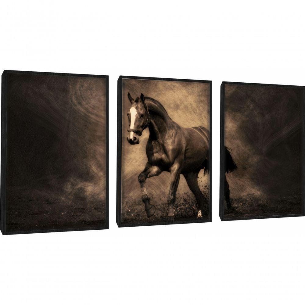Quadros Decorativos Cavalo Moderno Animal Com Moldura Preto
