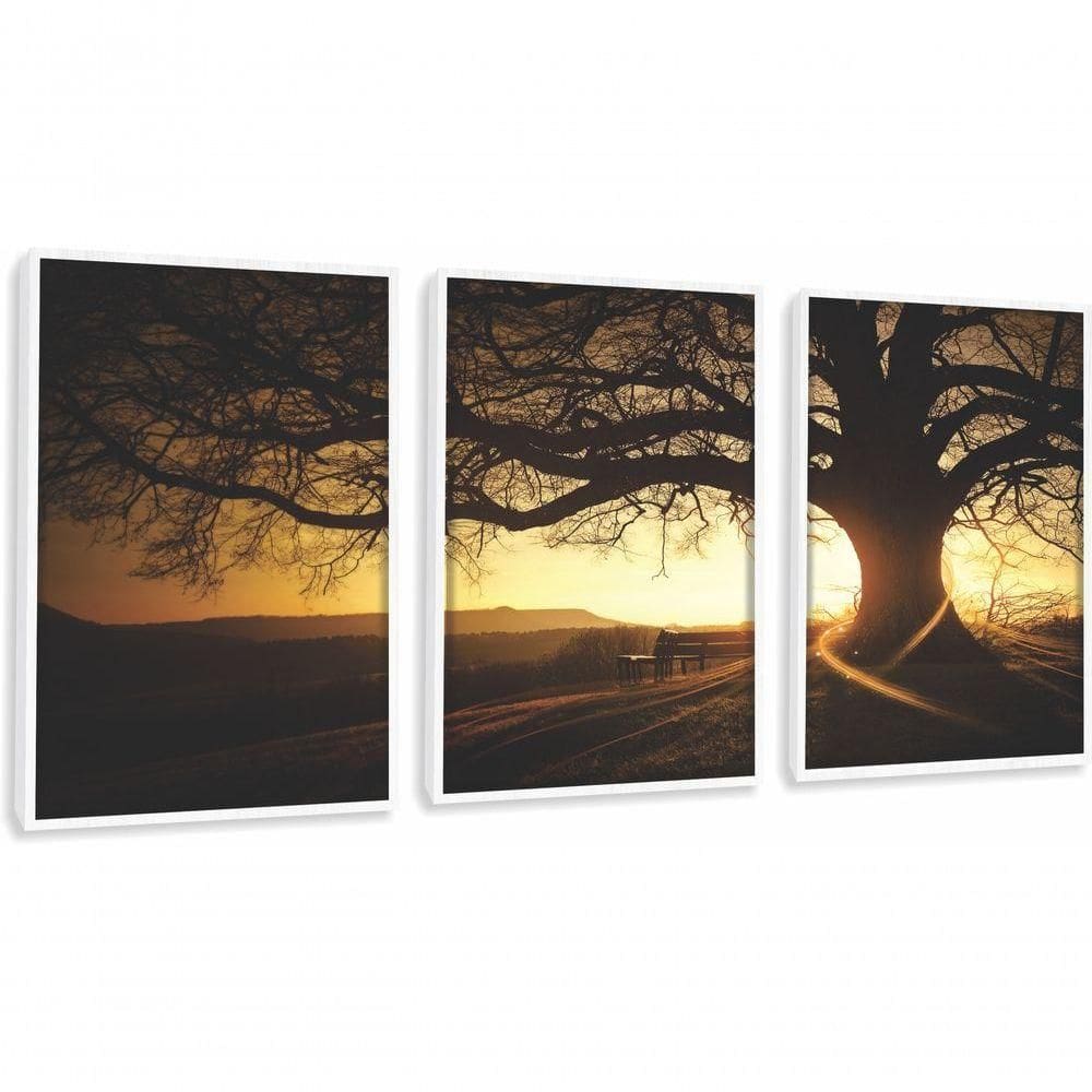 Quadros Decorativos árvore Por Sol Paisagem Com Moldura Branco
