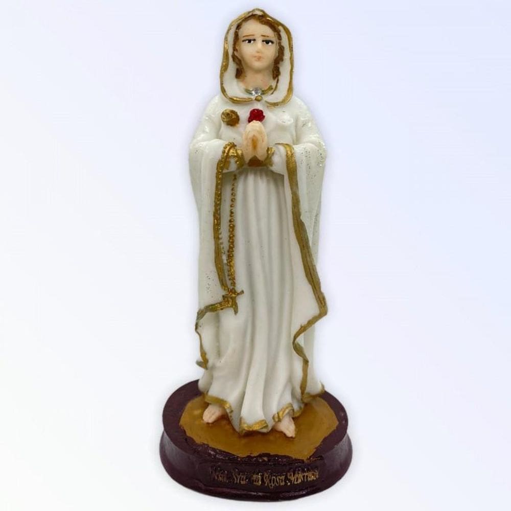 Imagem Santa Católica Em Resina Tamanho Médio-Escolha A Sua