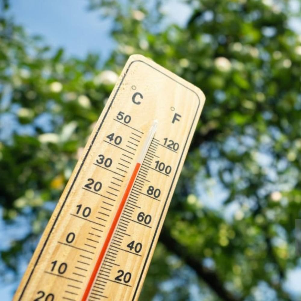 Termômetro Parede Madeira Interior Casa Sauna Envio Já