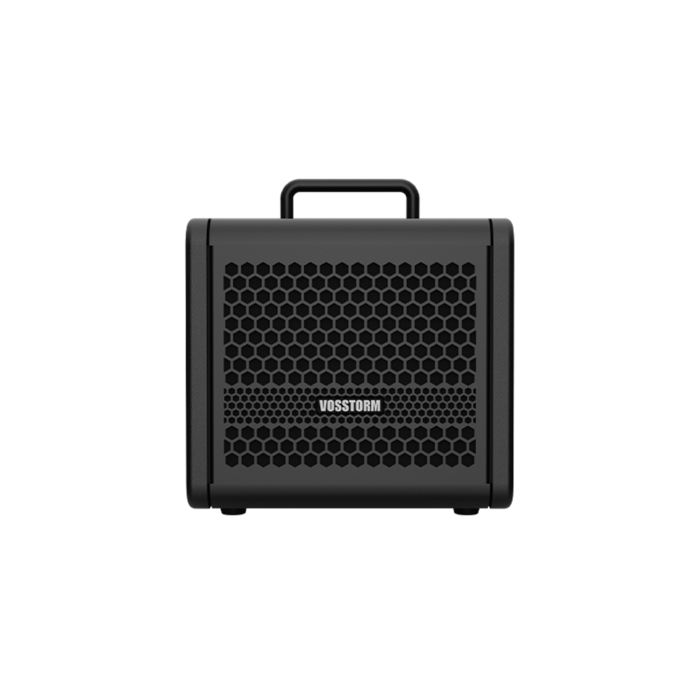 Amplificador Para Guitarra 6 Pol 15w Vosstorm Gx-6