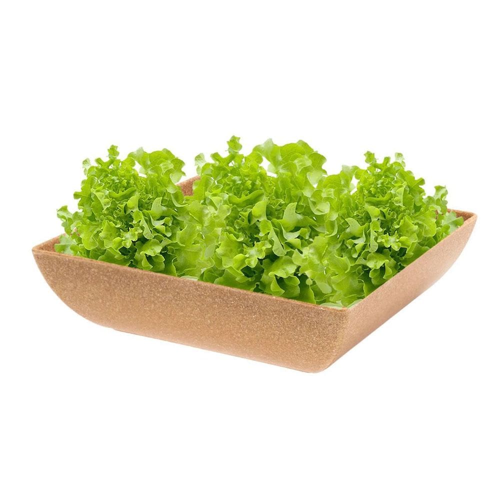 Saladeira Quadrada 1,4 Lt Travessa Petisqueira Marrom Claro
