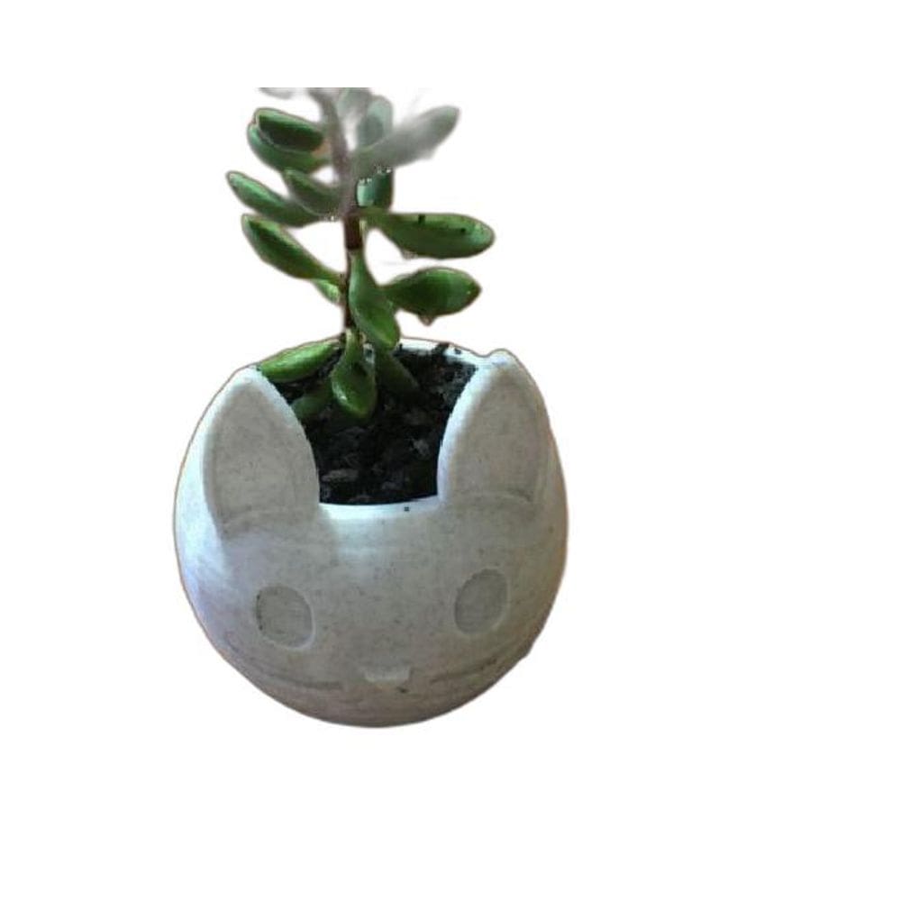 Vaso Para Suculenta Flores Formato Gato Lindo