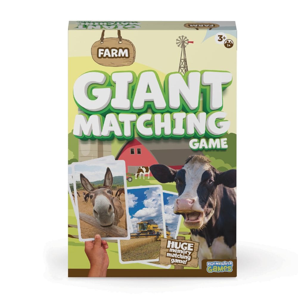 Jogo Giant Matching PlayMonster Summer Toys com cartas Jumbo