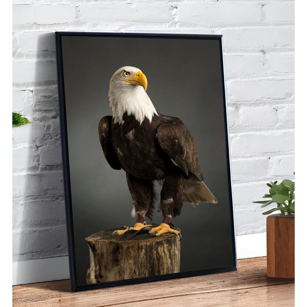 Placa/Quadro Decorativo Águia Americana 40X60Cm Ps 2Mm