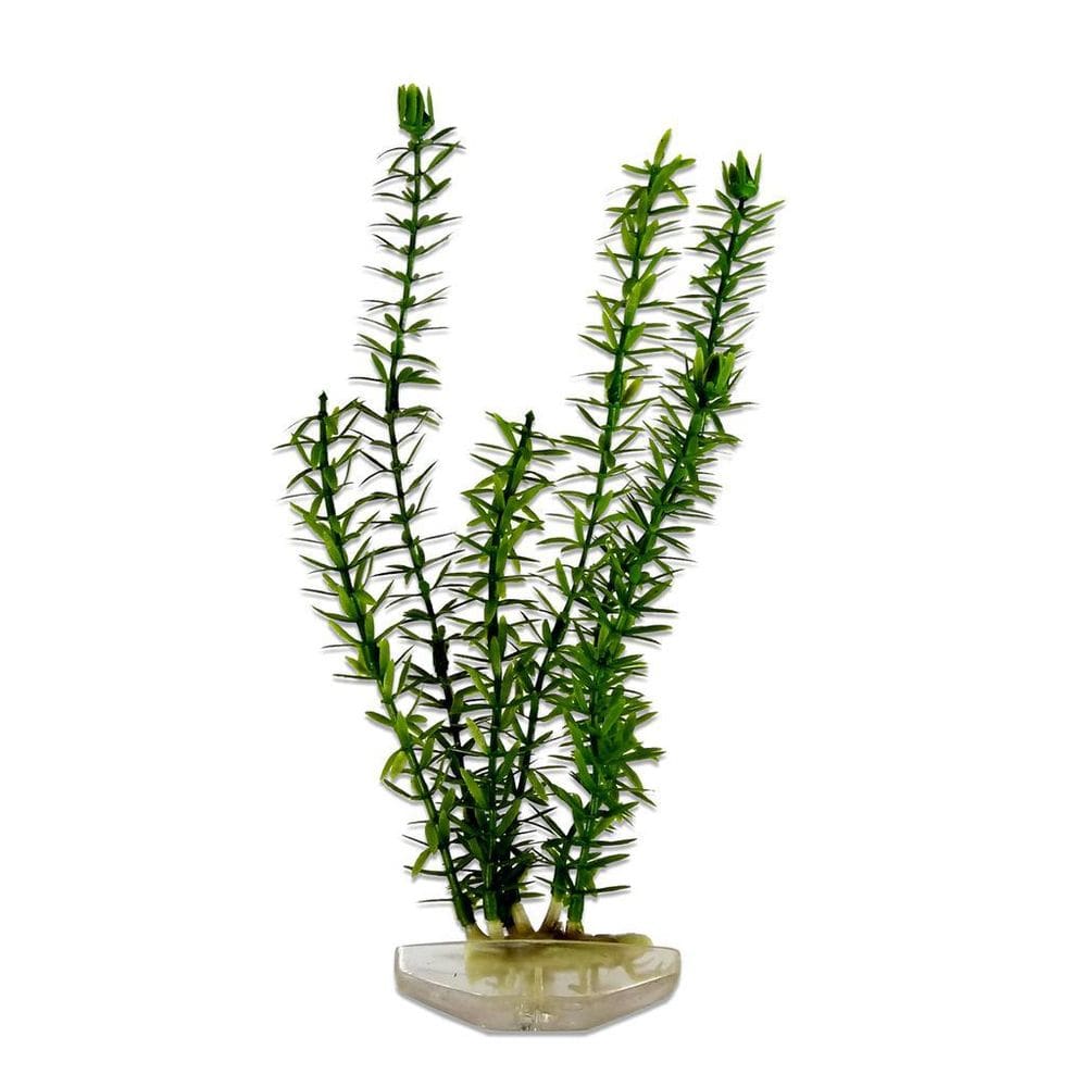 Planta Plástica Aquário 30cm - Segura e Decorativa