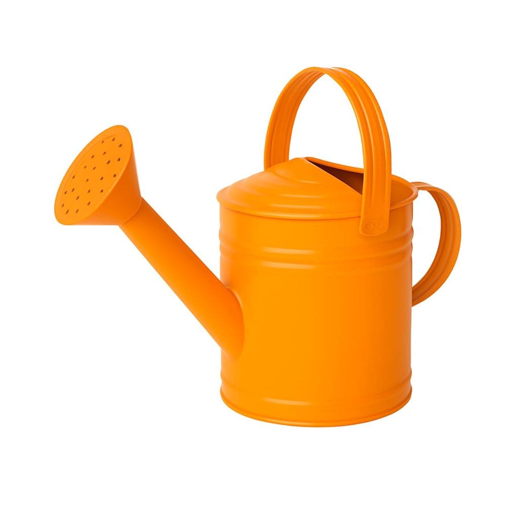 Mini Regador de Metal Galvanizado 3 Litros - Jardim, Horta e Decoração - SF17