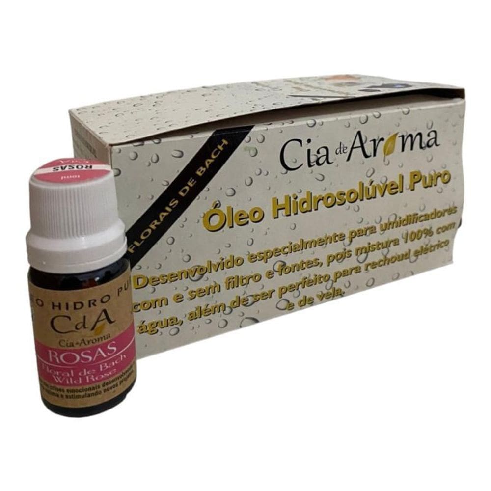 Box Kit 10 Óleos Hidrossolúvel 10Ml - Escolha O Seu Aroma