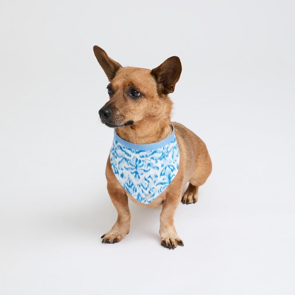 Bandana Ombra D`Ikat - Azul - M