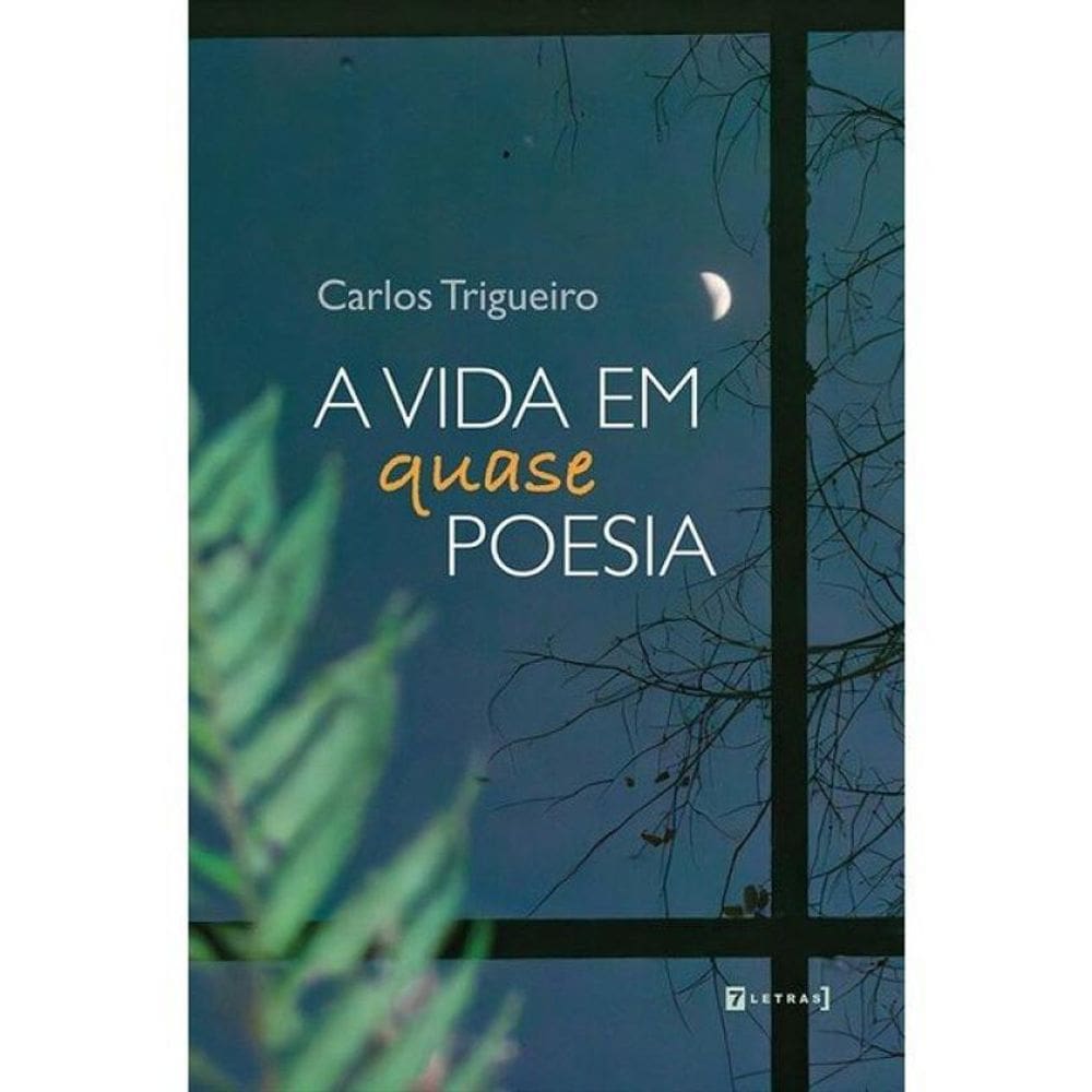 A Vida Em Quase Poesia