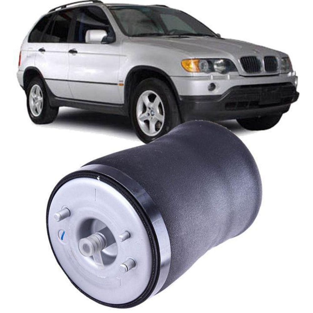 Bolsa Ar Suspensão Traseira Esquerda Bmw X5 E53 2000 A2006