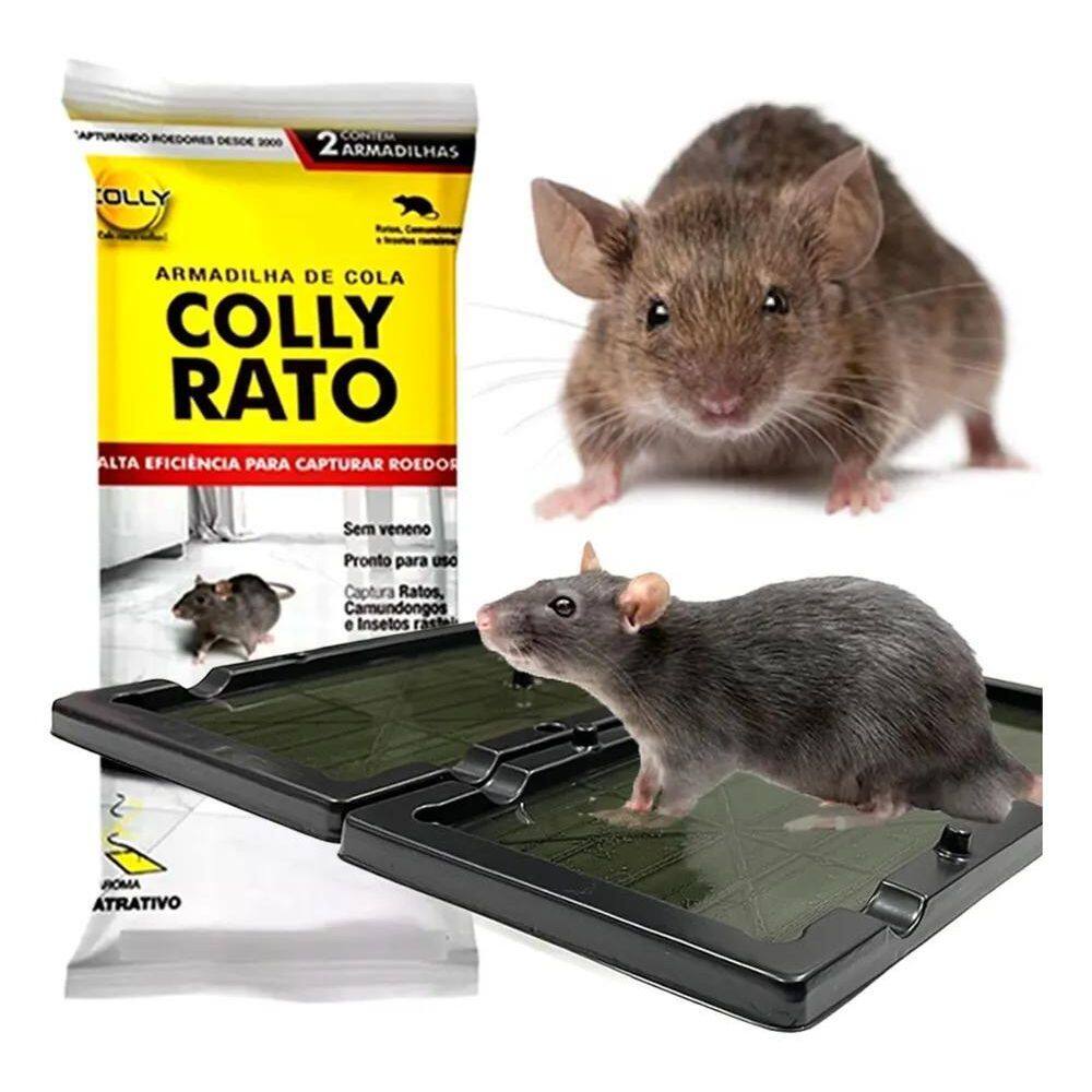 2X Armadilhas Super Colantes Para Ratos Placas De Cola 2 Pla