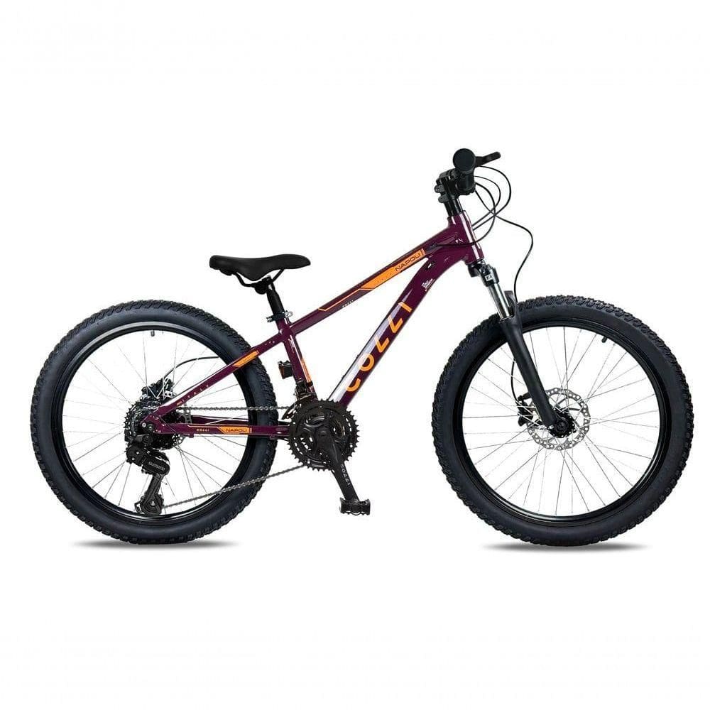 Bicicleta Colli Napoli Sport Aro 24 Roxo