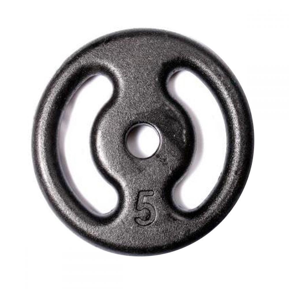 Anilha Pintada Peso Para Musculação 5Kg