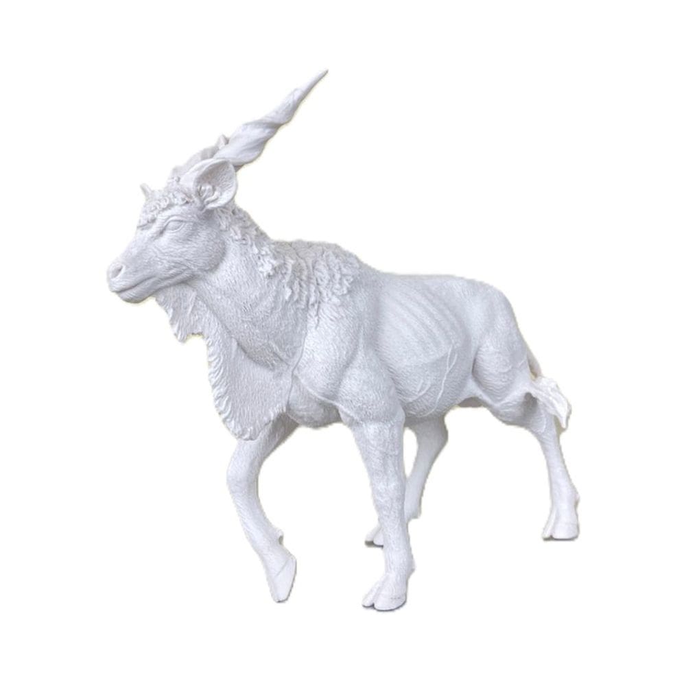 Brinquedo Animal Selvagem Para Colorir Pintura