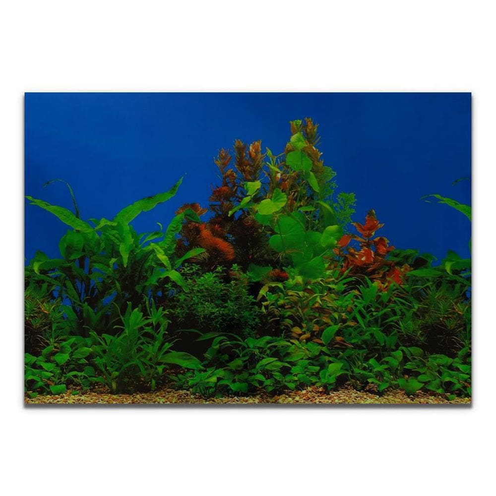 Painel Para Aquários Fundo Azul E Plantas Pp-083