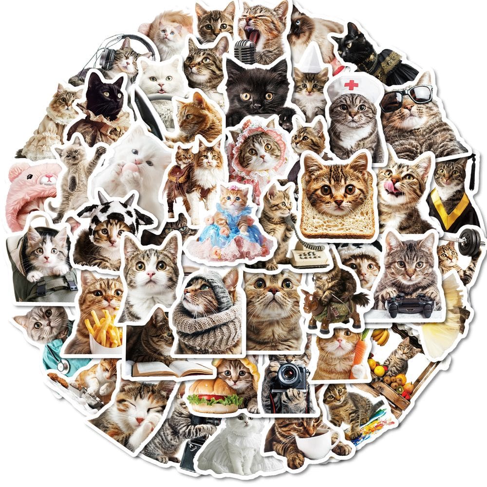 Pacote de adesivos Funny Cat, 50 unidades de meme com fantasia para artesanato de bricolage