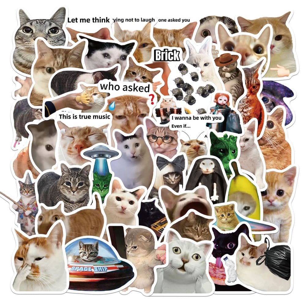 Pacote de adesivos Funny Cat Meme, 50 unidades de vinil impermeável