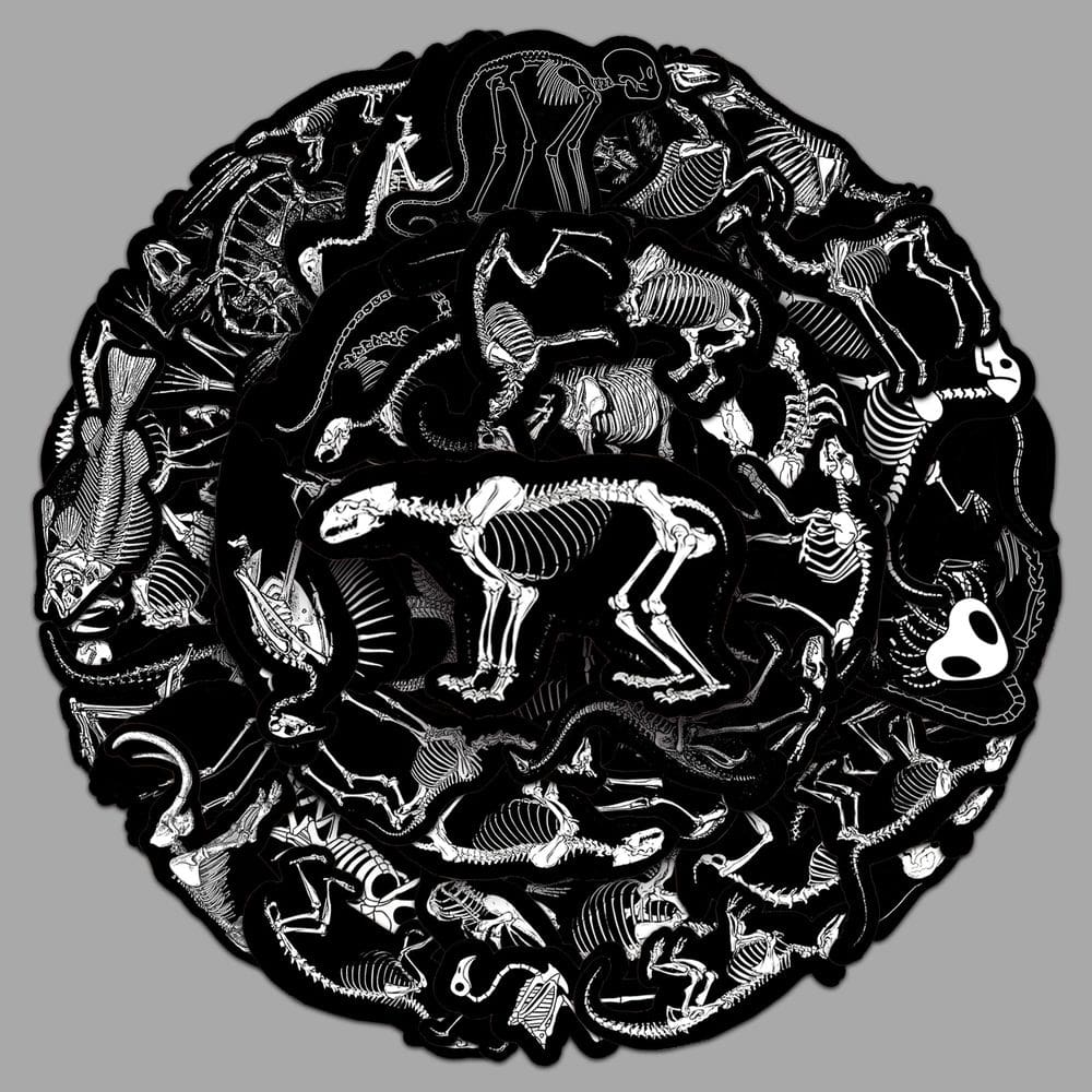 Pacote de adesivos Animal Skeleton, 50 unidades de vinil educacional Deca