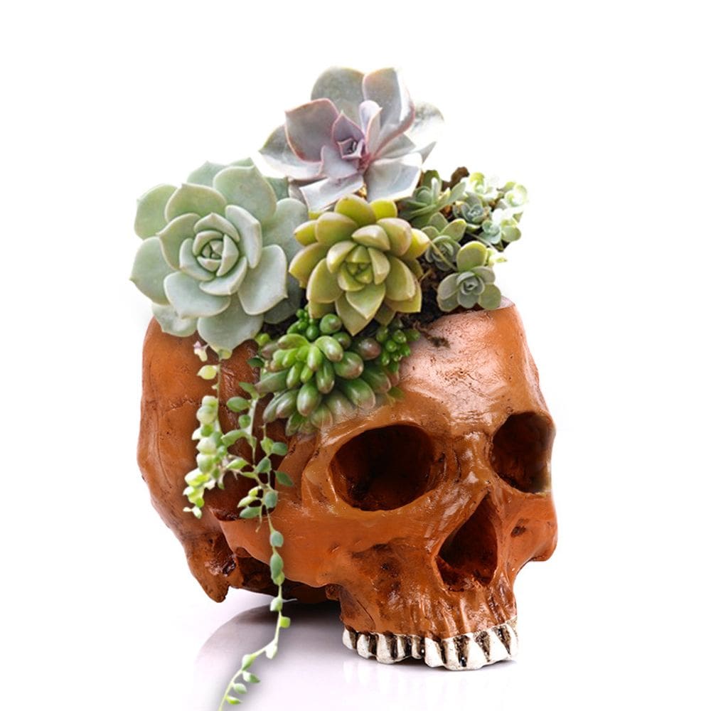 Crânio de resina de vaso de flores em forma de suculentas e ervas 16,5 cm