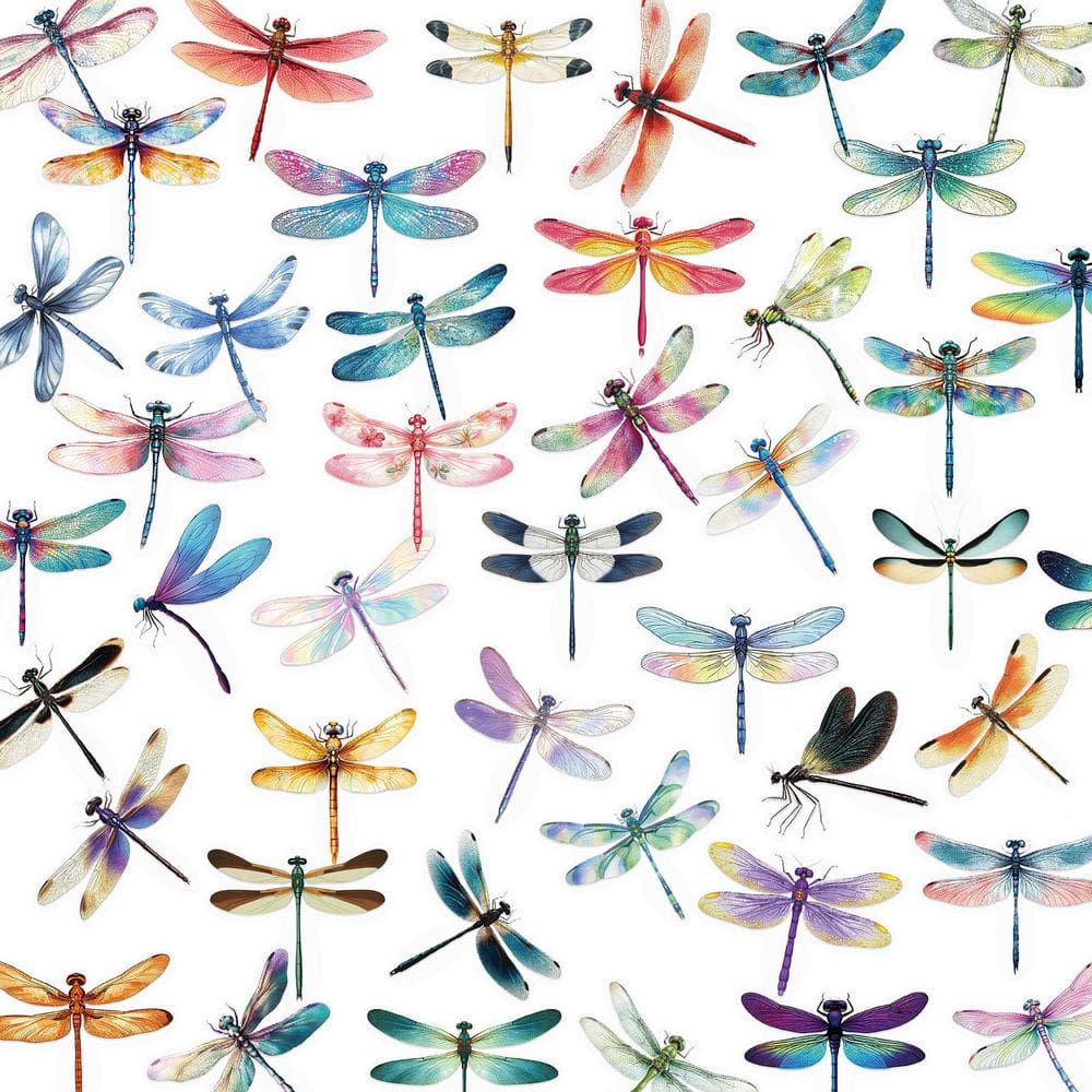 Pacote de adesivos Dragonfly, 50 peças de decalques realistas para insetos