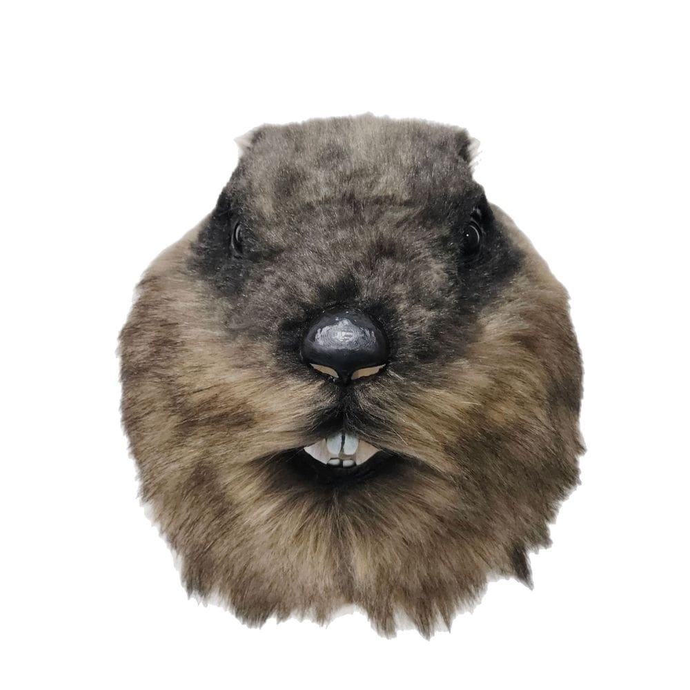 Máscara realista de animal peludo de marmota para cosplay