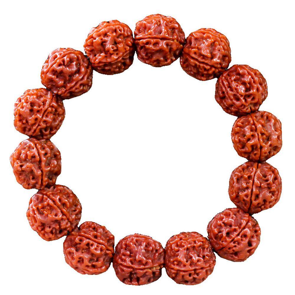 Pulseira Natural Rudraksha, contas de 20 mm, corpo de cinco faces do Nepal