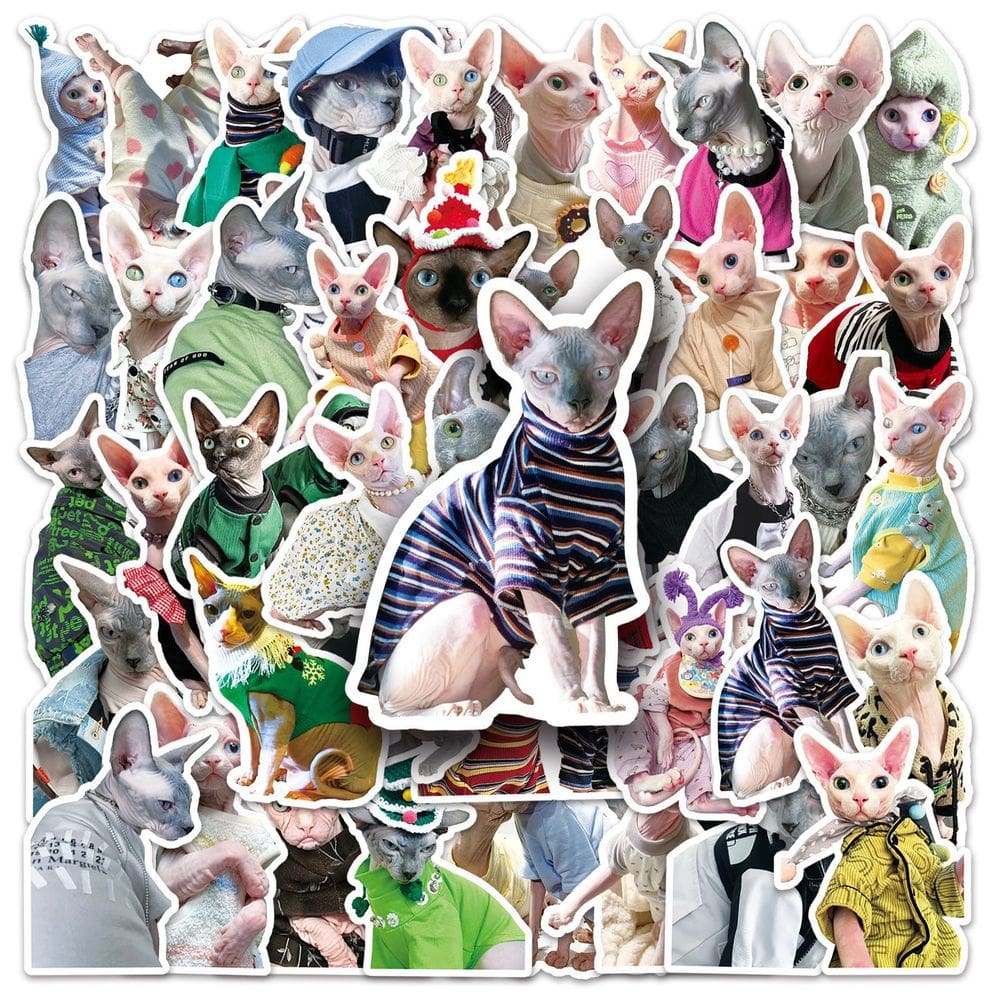 Pacote de adesivos Sphynx Cat Theme, 50 unidades de vinil impermeável