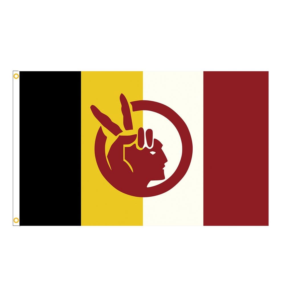 Tecido de poliéster indiano com bandeira 90x150cm