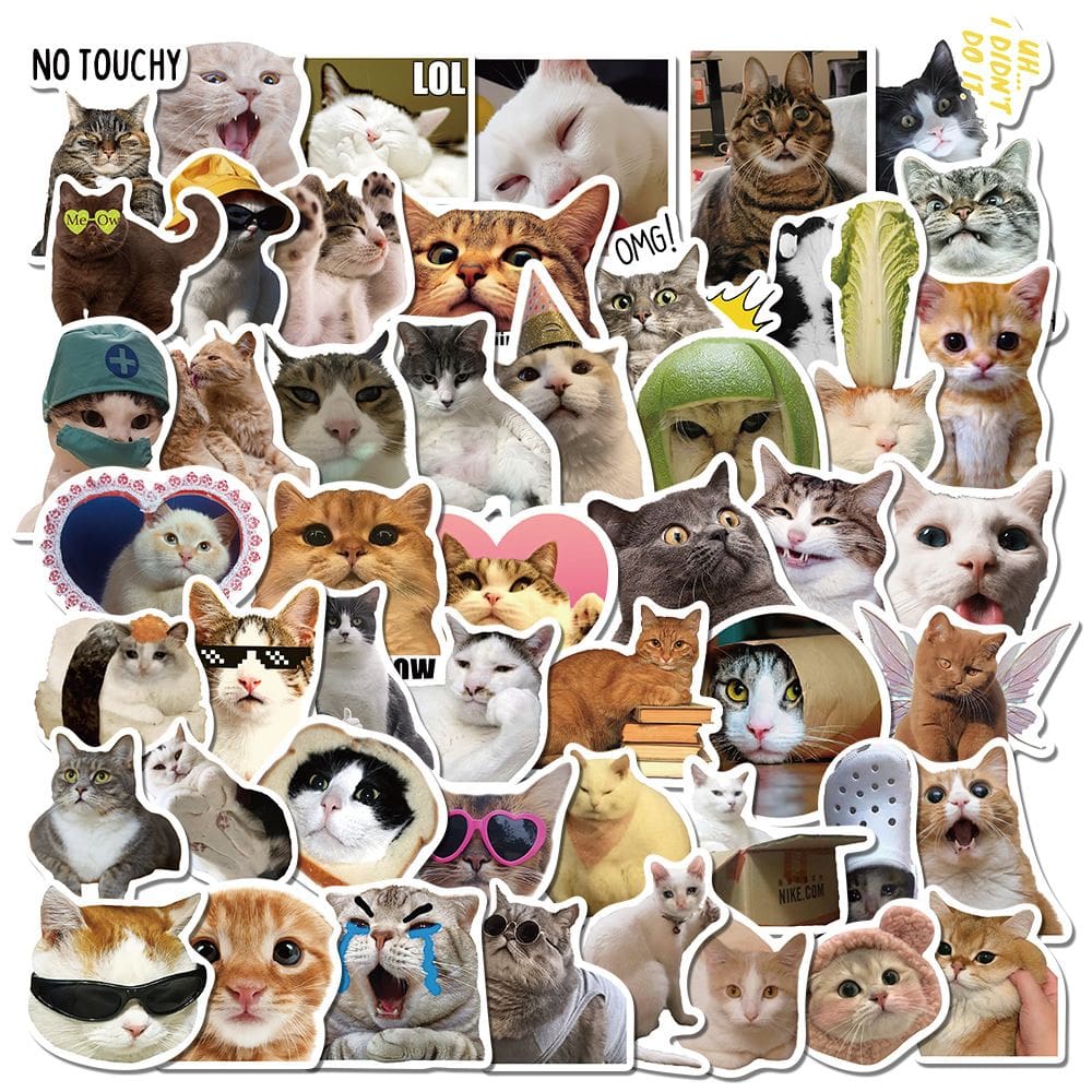 Pacote de adesivos Funny Cat Meme Face, 50 unidades de vinil impermeável