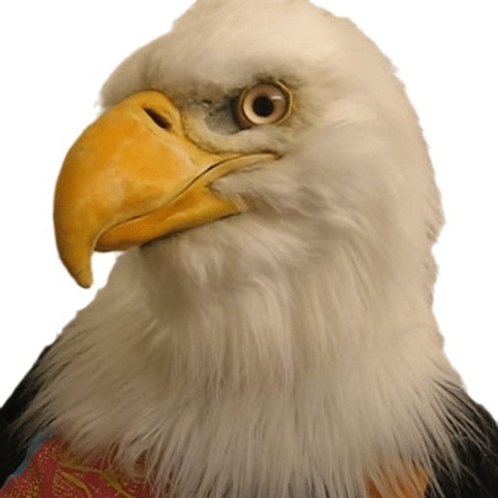 Máscara de águia de resina com cabeça de animal para cosplay de Halloween