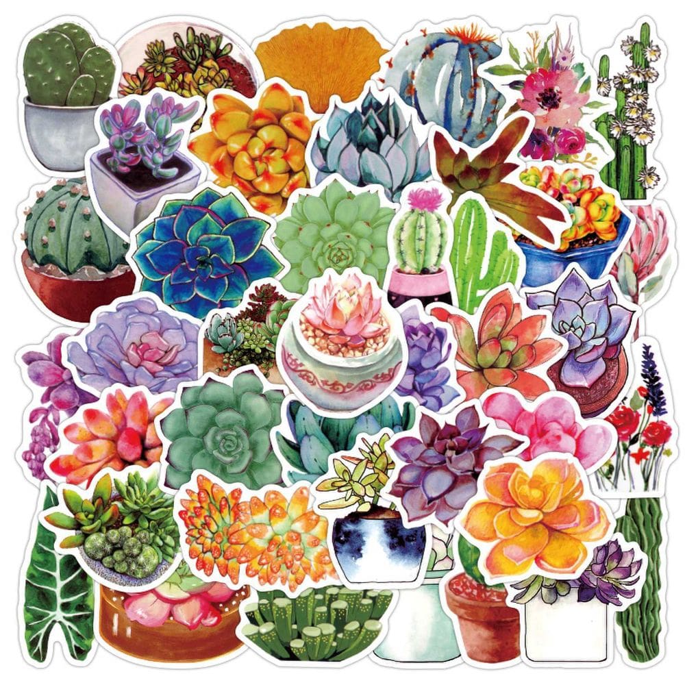Adesivos Succulent Plant Cactus, 50 unidades, impermeáveis e duráveis