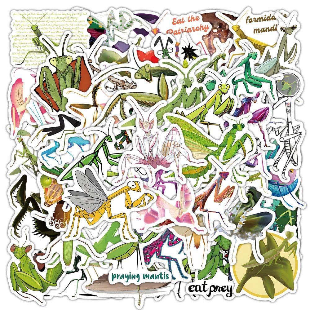 Conjunto de adesivos Praying Mantis, 50 unidades de insetos de vinil impermeável