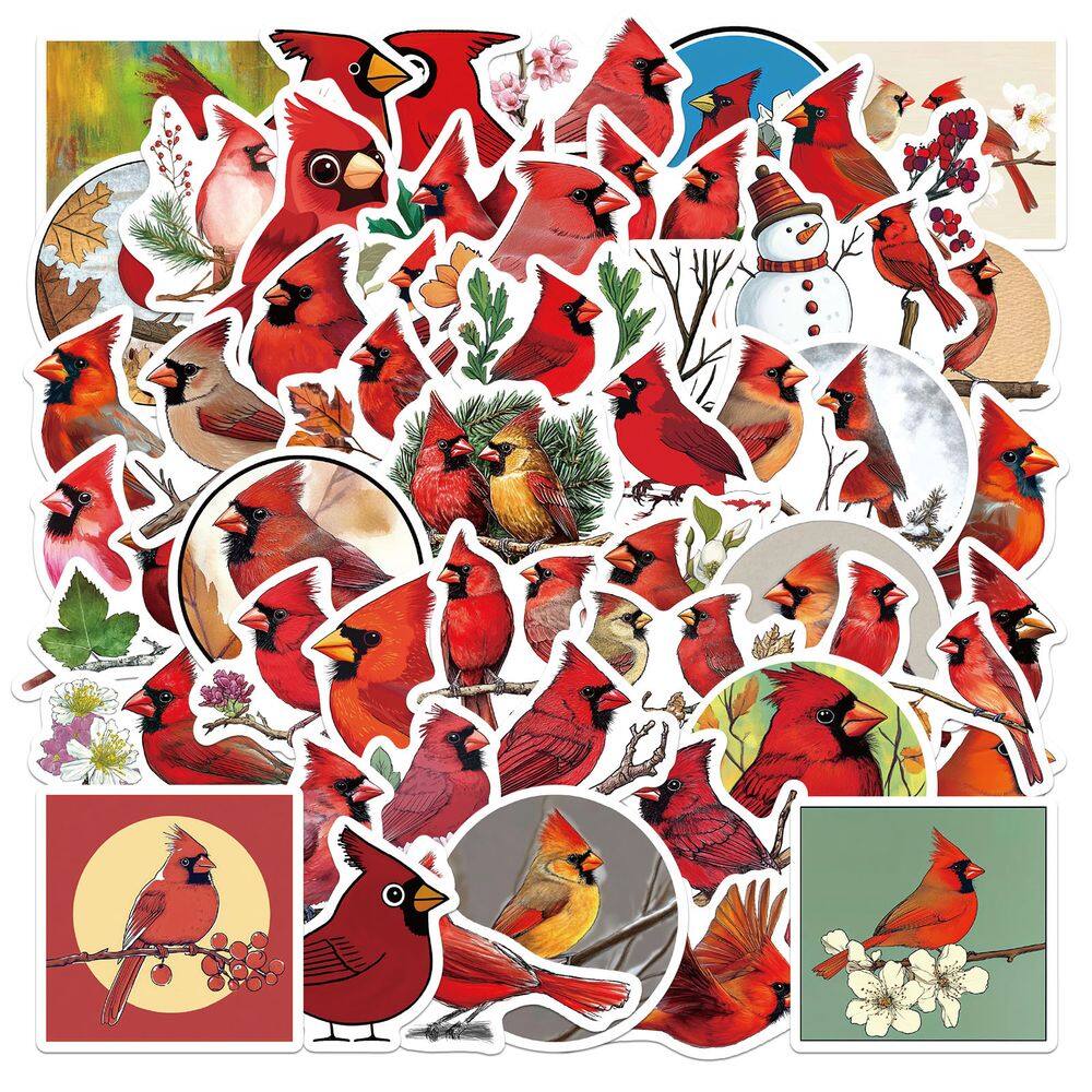 Pacote de adesivos Cute Bird Theme Cartoon Owl and Songbird x50