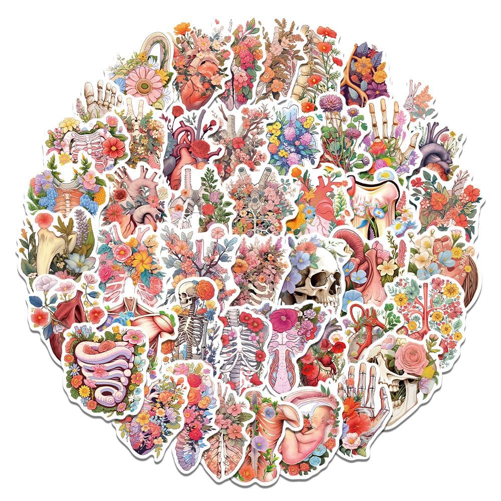 Stickers Anatomy Chart, 50 unidades de vinil impermeável para laptop
