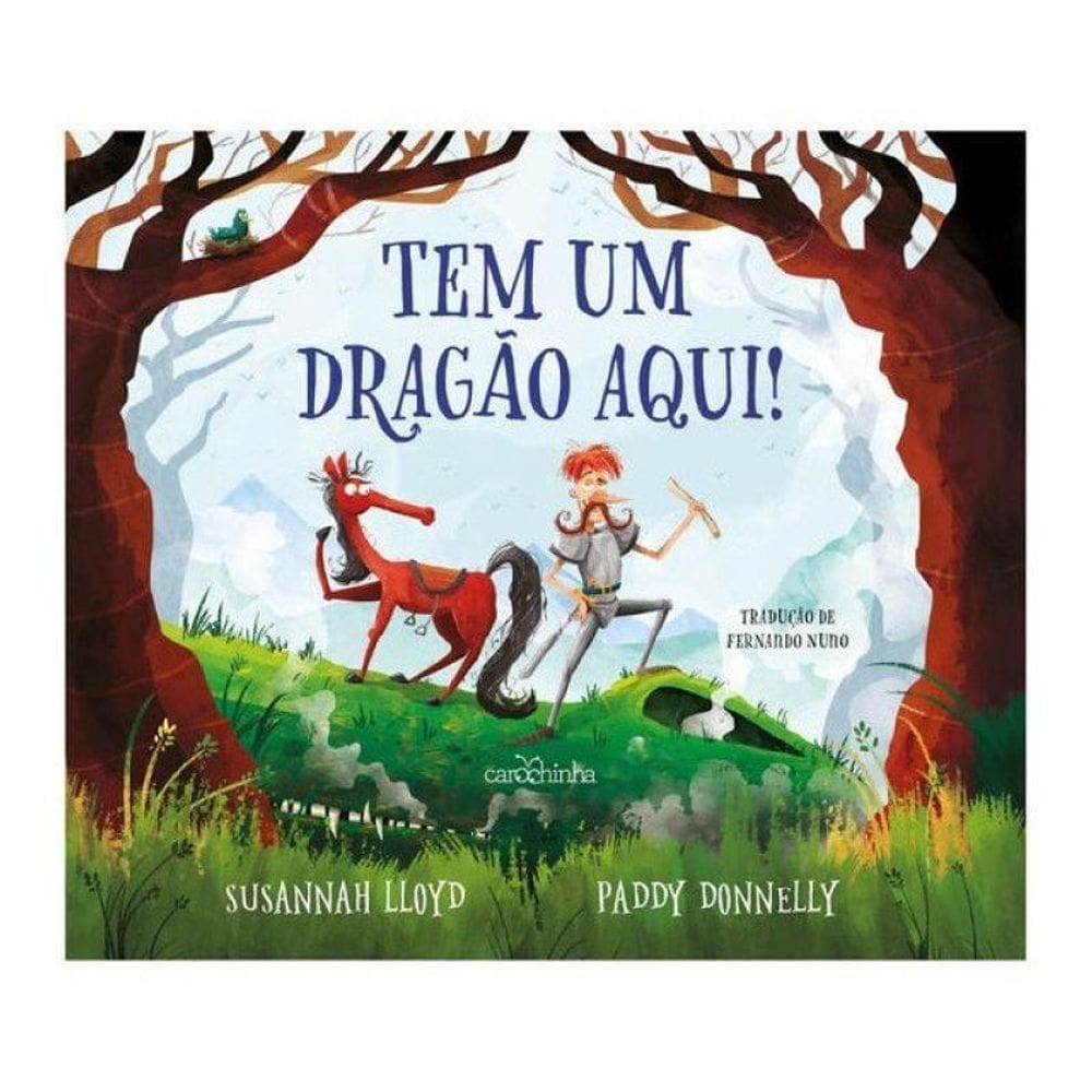 Tem Um Dragão Aqui!